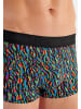 HOM Hipster Short / Pant Floyd in Mehrfarbig