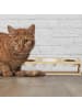 relaxdays Katzen Futterstation in Natur/ Weiß - (B)51 x (H)13,5 x (T)17,5 cm
