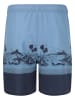 Cruz Boardshorts Hector in Print 3612 Blue Wave