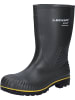 Dunlop Stiefel Acifort kurz in grün