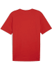 Puma T-Shirt "TeamRISE Logo Jersey Cotton" in Rot