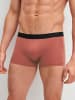 Calida New Boxer, 3er-Pack in marsala