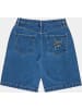 Santa Cruz Short "Flutter Flash Shorts" in Blau