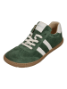 KOEL Sneaker Low DECLAN SUEDE in grün