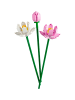 LEGO Icons Lotusblumen in Mehrfarbig ab 8 Jahre