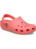 Crocs Classic in Rose403