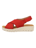 Clarks Sandalen in Rot