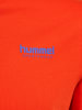 Hummel Hummel T-Shirt Hmllgc Erwachsene in ORANGE.COM