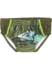 Playshoes Badehose "UV-Schutz Windelhose Chamäleon" in Grün