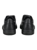 Geox Sneaker in Schwarz