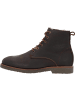 PANAMA JACK Stiefeletten in Castano/Chestnut