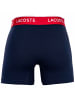 Lacoste Boxershort 6er Pack in Dunkelblau