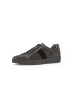 Pius Gabor Sneaker low in grau