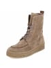 Gabor Schnürboots in taupe
