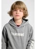 Hummel Kapuzenpullover Hmljr Logo Lebensstil Kinder in GREY MELANGE