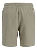 JACK & JONES PLUS Shorts in Seagrass