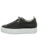 Paul Green Sneaker in schwarz