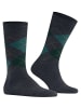 Burlington Socken Edinburgh in Cobalt