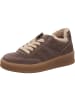 Gabor Sneaker Low in taupe