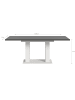 xonox.home Esstisch (B/H/T): 150-190x76x90 in weiß und grau mit  Doppelsäulen-Gestell