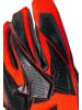 Reusch Torwarthandschuhe Raptor Pro in 3335 bright red / black