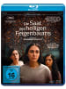 aLiVe Film - Die Saat des heiligen Feigenbaums