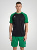 Hummel T-Shirt Raglanärmel Hmlmatch Erwachsene in BLACK/JELLY BEAN