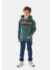 Band of Rascals Sweatwear " 70th Stripes " in sage
