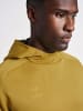 Hummel Kapuzenpullover Raglanärmel Hmlcima Herren in ANTIQUE GOLD
