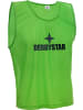 Derbystar Trikot "Markierungshemdchen" in Grün