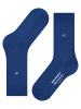 Burlington Socken Bloomsbury in Royal blue