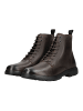 Geox Stiefelette in Coffee