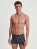 Calida Boxer Brief in Glazed gin