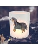 Mr. & Mrs. Panda Glas Windlicht Berner Sennenhund Lebensretter o... in Transparent