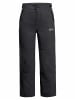 Jack Wolfskin Hose lang für Jungen in grau