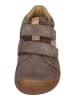 KOEL Sneaker Low BYNO SUEDE in grau