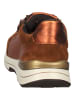 ara Sneaker in Nut