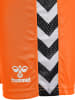 Hummel Kurze Hose Playful Shorts Erwachsene in SHOCKING ORANGE