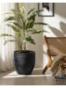 Beliani Outdoor Blumentopf BAIYUN in Schwarz - (W) 42 x (H) 42 x (L) 42 cm