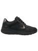 Solidus Damen- Schnürschuhe Kitty Weite H+K in Schwarz