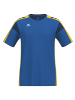 erima Herren T-Shirt function in new royal/gelb