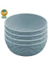 koziol CLUB BOWL - Schale 700ml in nature flower blue