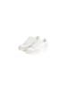 CALVIN KLEIN JEANS Sneaker Beige