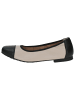 Caprice Ballerina in CREAM/BLACK