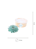 NatureNest 1 Sukkulente Echeveria Pulidonis in Grün Topf 12 bis 14 cm Höhe 5 cm