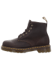 Dr. Martens Stiefelette in braun