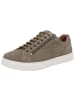 Solidus Sneaker Low in braun
