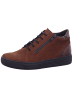 Solidus Sneaker in braun