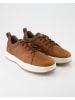 Timberland Sneaker low in Braun