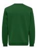 ONLY & SONS Sweatshirt in Formal Garden